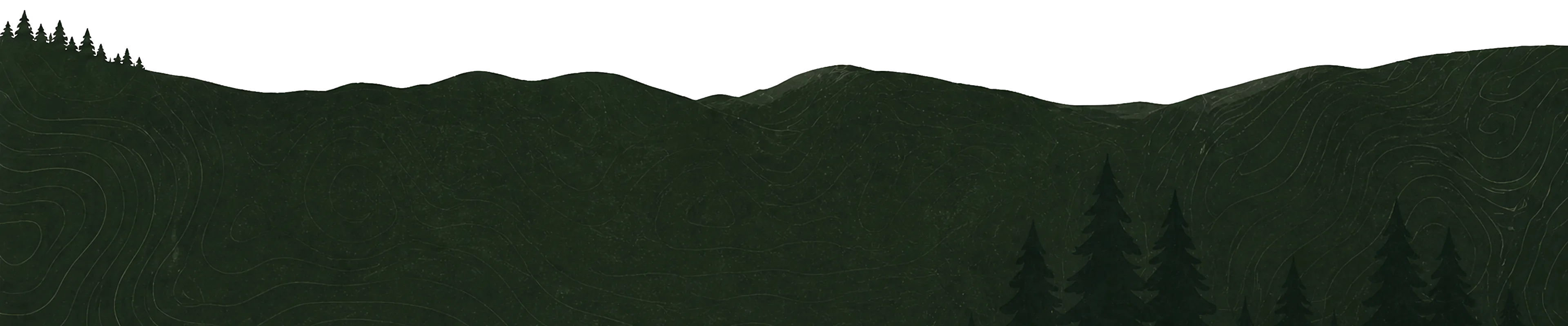 The website’s original illustrated woodland closing